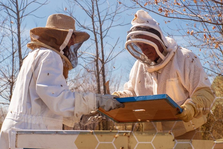 apiculture-header-personnes_01